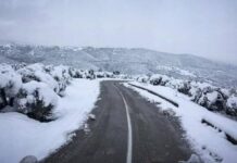 Στα «λευκά» ο Παρνασσός – Έπεσαν τα πρώτα χιόνια (ΒΙΝΤΕΟ)