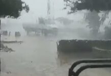 Καιρός: Η «Βικτώρια» ξεριζώνει δέντρα και παρασύρει αυτοκίνητα στους Οθωνούς