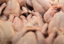 Πειραιάς: Κατασχέθηκαν ακατάλληλα κοτόπουλα από ψητοπωλείο