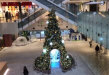 Ιαπωνία: Ρεκόρ Γκίνες για χριστουγεννιάτικο δέντρο με 51.626 κάρτες ευχών.