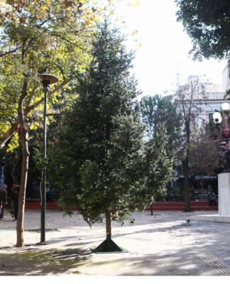Εξάρχεια: Νέο χριστουγεννιάτικο δέντρο στην πλατεία