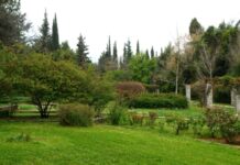 Αυτός ο παράδεισος είναι μόλις 8 χιλιόμετρα από το κέντρο της Αθήνας και ίσως δεν γνωρίζετε καν ότι υπάρχει (ΦΩΤΟ)