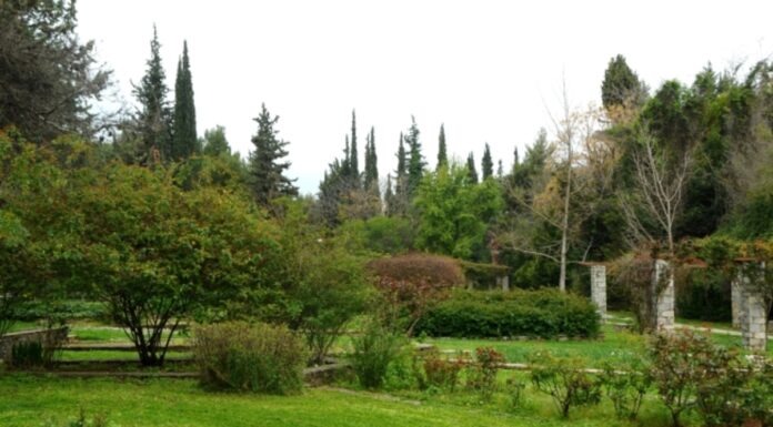Αυτός ο παράδεισος είναι μόλις 8 χιλιόμετρα από το κέντρο της Αθήνας και ίσως δεν γνωρίζετε καν ότι υπάρχει (ΦΩΤΟ)