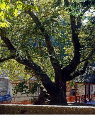 Στο Μέτσοβο για τα Χριστούγεννα ο πρωθυπουργός Κυριάκος Μητσοτάκης