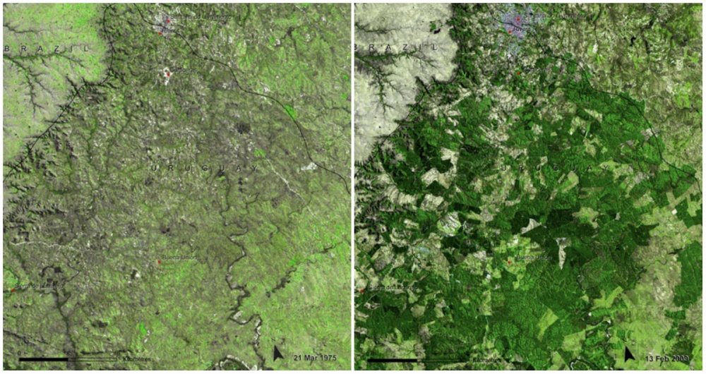 Η Γη «Τότε» και «Τώρα» : 17 σπάνιες φωτογραφίες της NASA αποκαλύπτουν τις δραματικές αλλαγές στον πλανήτη - Εικόνα17