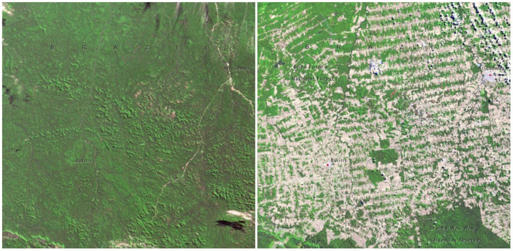 Η Γη «Τότε» και «Τώρα» : 17 σπάνιες φωτογραφίες της NASA αποκαλύπτουν τις δραματικές αλλαγές στον πλανήτη - Εικόνα7