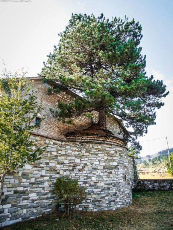 100 χρονών δέντρο μεγαλώνει μέσα σε εκκλησία στα Γρεβενά - Εικόνα 8