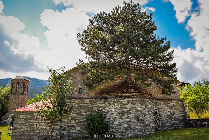100 χρονών δέντρο μεγαλώνει μέσα σε εκκλησία στα Γρεβενά - Εικόνα 9