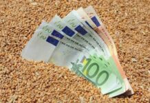 Αγρότες: Αποζημιώσεις για πυρκαγιές και θεομηνίες του 2018 – Ποια είναι τα ποσά