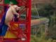 ΦΡΙΚΗ: Ανάγκασαν γουρούνι να κάνει bungee jumping για διαφήμιση (ΒΙΝΤΕΟ)