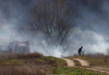 ΕΒΡΟΣ: Μετανάστες έβαλαν φωτιά σε δασική έκταση στο χωριό Στέρνα και στο Νεοχώρι (ΦΩΤΟ)