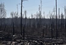 Τσερνόμπιλ: Πόσο κινδυνεύει η Ελλάδα από τη φωτιά – Τι λένε οι ειδικοί;