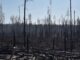 Τσερνόμπιλ: Πόσο κινδυνεύει η Ελλάδα από τη φωτιά – Τι λένε οι ειδικοί;