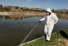 Κορονοϊός: Υπάρχει συσχέτιση με τον ιό του Δυτικού Νείλου; Τι λένε οι ειδικοί