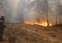 Τσερνόμπιλ: Παγκόσμιος τρόμος! Νέα πύρινα μέτωπα