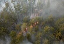 Πυρκαγιά Τσερνόμπιλ: Απειροελάχιστη η ποσότητα ραδιενέργειας που βρέθηκε στην Ελλάδα