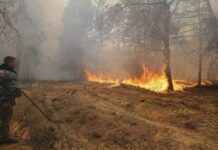 Τσέρνομπιλ: Σοκαριστικές εικόνες μετά τη φωτιά – Drone κατέγραψε την καταστροφή