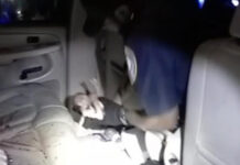 ΣΥΓΚΛΟΝΙΣΤΙΚΟ: Έγκυος γέννησε την ώρα της σύγκρουσης ΙΧ – Αστυνομικοί έσωσαν το μωρό από τα συντρίμμια