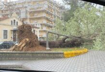 ΞΑΝΘΗ: Προβλήματα από την κακοκαιρία – Ανατράπηκαν νταλίκες και φορτηγό