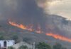 Φωτιά στο Σχιστό Κορυδαλλού – Κοντά σε σπίτια οι φλόγες (ΒΙΝΤΕΟ)