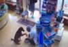 Αδέσποτο μπαίνει σε φαρμακείο και δείχνει στη φαρμακοποιό το τραυματισμένο πόδι του