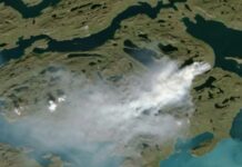 Τι είναι οι πυρκαγιές – «ζόμπι»: Γιατί ανησυχούν τους επιστήμονες