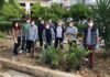 Δεντροφύτευση από την ΟΝΝΕΔ Α Πειραιά & Νήσων για την Παγκόσμια Ημέρα Περιβάλλοντος