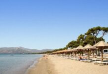 ΑΚΑΤΑΛΛΗΛΕΣ ΠΑΡΑΛΙΕΣ ΑΤΤΙΚΗΣ: Λίστα της ΠΑΚΟΕ (ΠΙΝΑΚΕΣ)