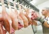 ΚΟΡΩΝΟΪΟΣ: Γιατί μεταδίδεται εύκολα στα σφαγεία;