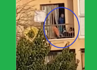 ΣΟΚΑΡΙΣΤΙΚΟ ΒΙΝΤΕΟ: Άντρας ξυλοκόπησε στο μπαλκόνι τη σύντροφο και τον σκύλο τους