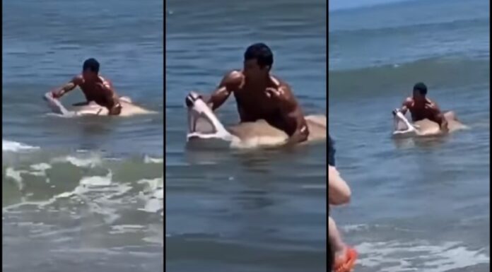 ΑΠΙΣΤΕΥΤΟ: Ατρόμητος κολυμβητής άνοιξε στόμα καρχαρία με γυμνά χέρια (ΒΙΝΤΕΟ)