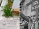 Απίστευτη ιστορία πίσω από μία ταφόπλακα: «Έζησα 90 χρόνια – Πέρασα καλά 8 επί Ανδρέα Παπανδρέου»