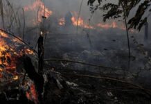 ΣΤΟΙΧΕΙΑ ΣΟΚ: Πάνω από 2.200 πυρκαγιές καταγράφηκαν στον Αμαζόνιο τον Ιούνιο