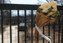 Ξεκινά η διαβούλευση για το Ειδικό Πολεοδομικό Σχέδιο για το Μάτι