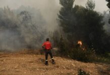 Φωτιά στις Κεχριές: Διάσπαρτες εστίες εξακολουθούν να καίουν για πέμπτη μέρα