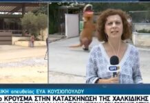 Απρόοπτο σε δελτίο της ΕΡΤ: «Δεινόσαυρος»… τρέχει πίσω από ρεπόρτερ