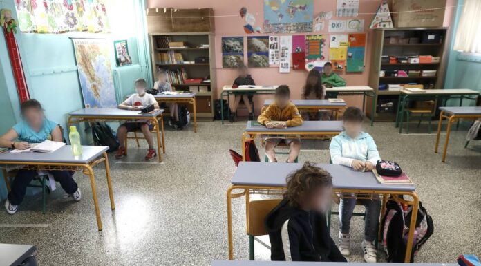 Μαγιορκίνης: Γιατί δεν έχει μεγάλη σημασία το μέγεθος των τάξεων