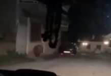 Βίντεο – ΣΟΚ: Αρκούδα μέσα σε χωριό – Προσπαθούσαν να τη διώξουν με κόρνες