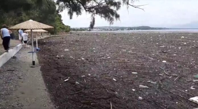 ΣΟΚΑΡΙΣΤΙΚΕΣ ΕΙΚΟΝΕΣ: Γέμισαν νεκρά ζώα περιοχές μετά την θεομηνία της Εύβοιας