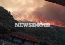 Φωτιά στη Μάνη: Ορατοί από το διάστημα οι καπνοί