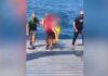 Ναύπακτος – Συγκλονίζει ο καπετάνιος που έσωσε την 3χρονη: «Δεν είχε επαφή με το περιβάλλον»
