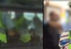 Αστυνομικοί πήραν σηκωτό από λεωφορείο αρνητή της χρήσης μάσκας: «Μου έχει πει ο Θεός να μην φοράω»