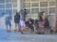 ΚΕΡΑΜΕΩΣ: Οι χαμένες ώρες θα αναπληρωθούν με μαθήματα τις αργίες και τα Σάββατα