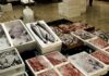 Ελληνικά ψάρια: Αποκτούν «ταυτότητα»: Δείτε αναλυτικά τι θα αναφέρεται