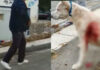 ΝΙΚΑΙΑ: Αυτός είναι ο καθηγητής που μαχαίρωσε τον σκύλο