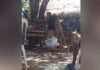 ΣΟΚ: Γονείς κρέμασαν ανάποδα για 30 λεπτά το αγόρι της κόρης τους επειδή δεν τον ενέκριναν