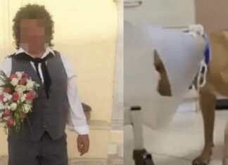 Κτηνωδία: Σε διαθεσιμότητα ο υπάλληλος της ΔΕΗ που κακοποίησε τον σκύλο του