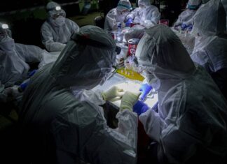 ΕΦΙΑΛΤΗΣ: Συγγενικοί ιοί του COVID-19 βρέθηκαν σε κατεψυγμένες νυχτερίδες