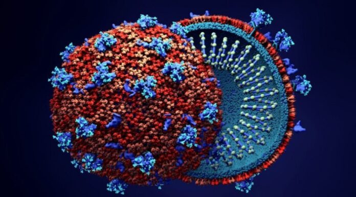 ΚΟΡΩΝΟΪΟΣ: Μπορεί να μεταδοθεί μέσω του σπέρματος;