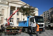 Ο Δήμος Πειραιά ανακυκλώνει τα φυσικά Χριστουγεννιάτικα δέντρα (ΦΩΤΟ)